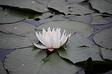 传今年的PlayStation发布会延期到了9月